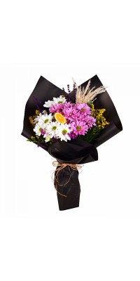 Pembe Beyaz Papatya Buketi