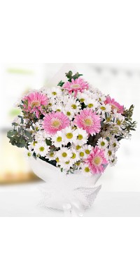 Papatya ve Gerbera Buketi